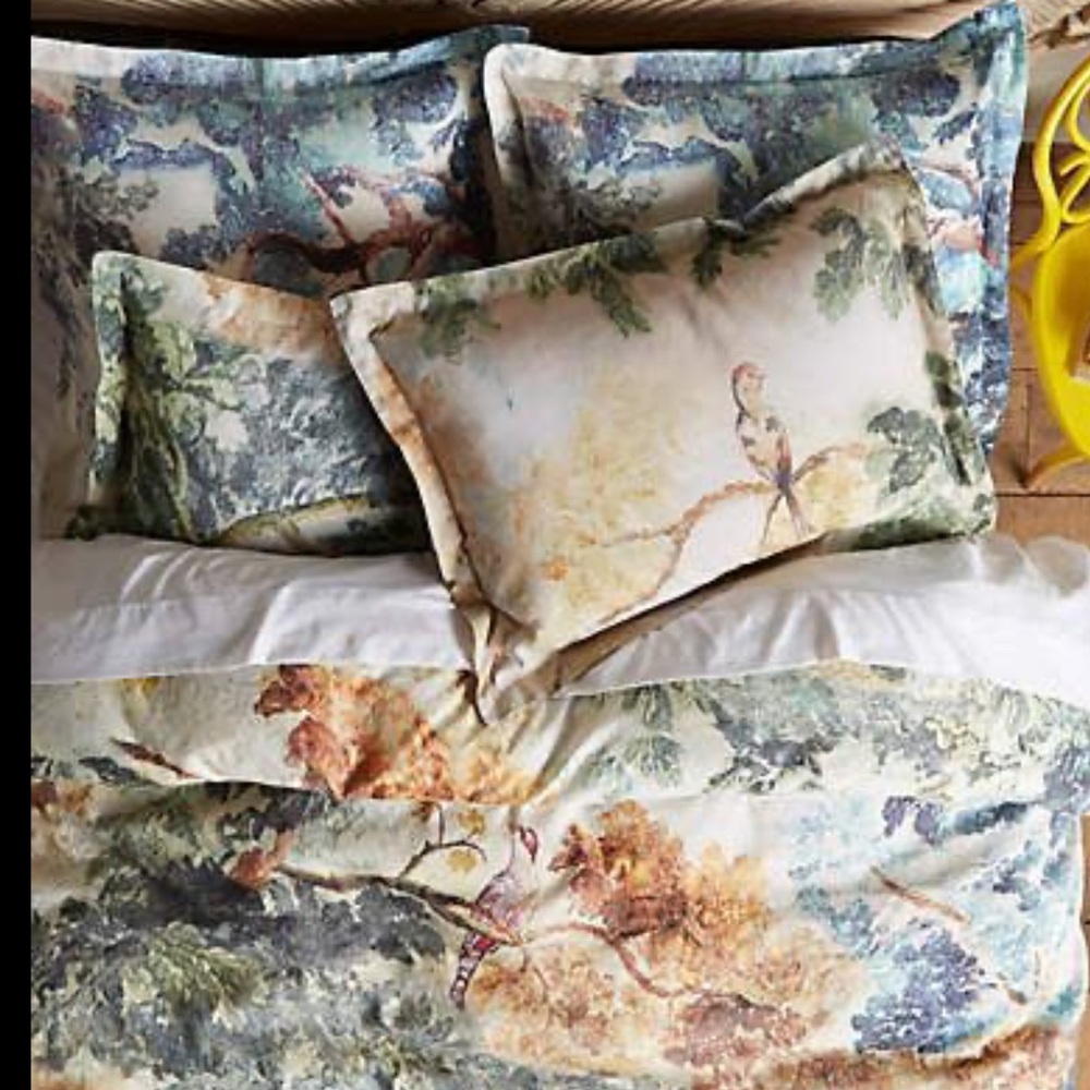 Anthropologie Judarn Pillowcases / covers  2 standard and 2 European Set